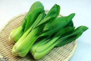 Bok Choy 青菜 type of chinese cabbage