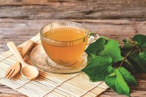 Houttuynia cordata tea