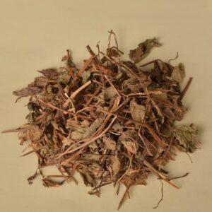 Houttuynia cordata tea