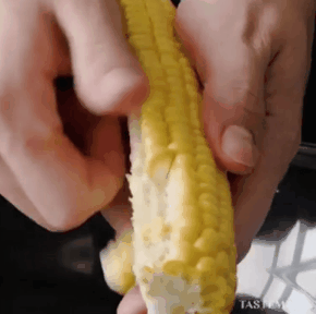Peeling-corn-cobs 