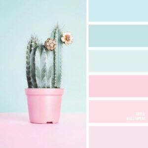 Powder blue and pink color palette