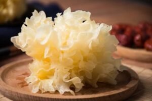 Snow-fungus