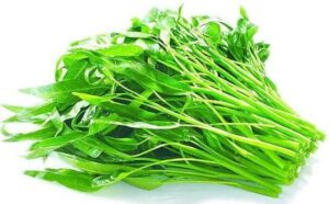 Water-spinach