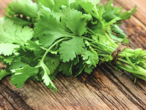 coriander