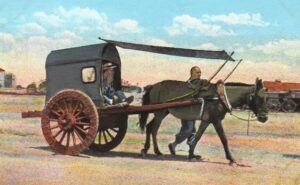 donkey-cart
