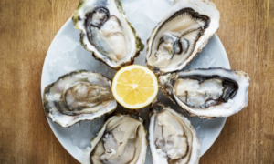 oyster