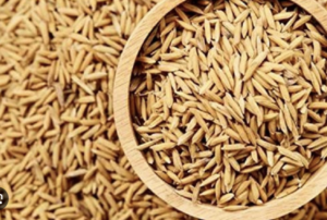 rice-seeds