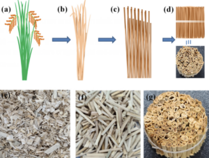 rice-straw-and-stalks