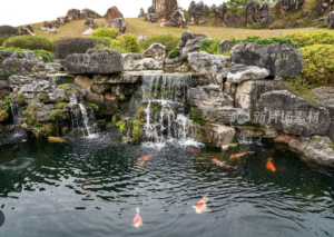 rockery-pond