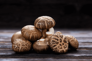 shiitake-mushroom-2