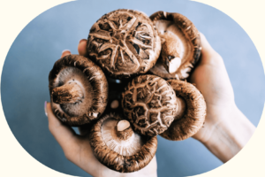 shiitake-mushroom