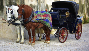 two-horse carriage