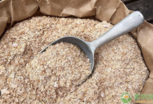 wheat-bran